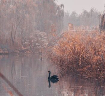 La pieza que no encaja