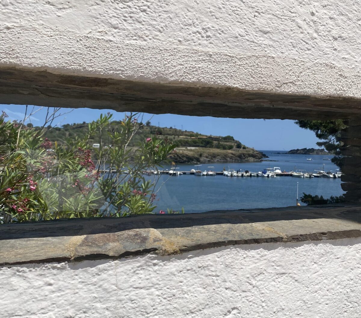 Des de la nostra finestra