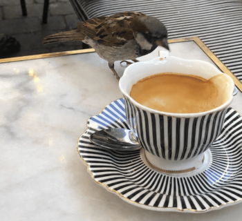 La metàfora del café